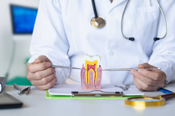 Best Knocked-Out Tooth (Avulsed Tooth) Treatment in Minneota, MN